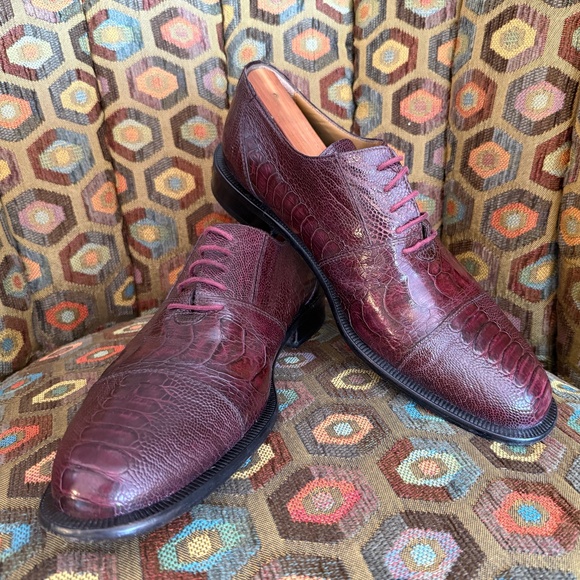 David Eden ostrich leg wine "SALOMON" men's 9.5 + Box, bag, trees - Picture 1 of 15